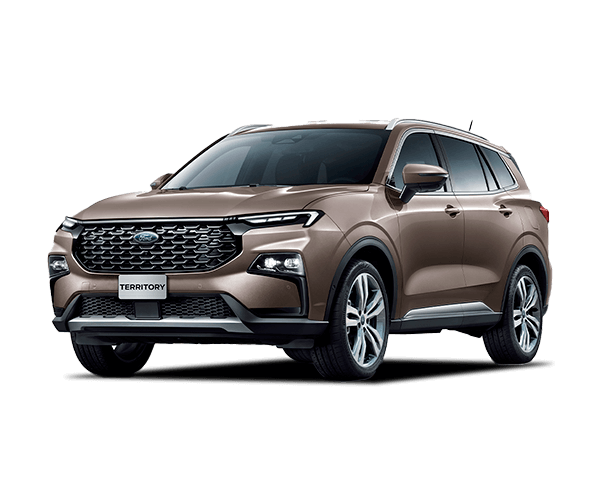 territory marron burdeo