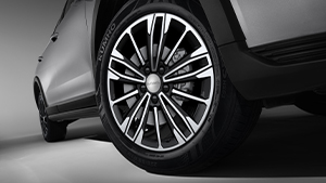 exterior llantas new jolion haval