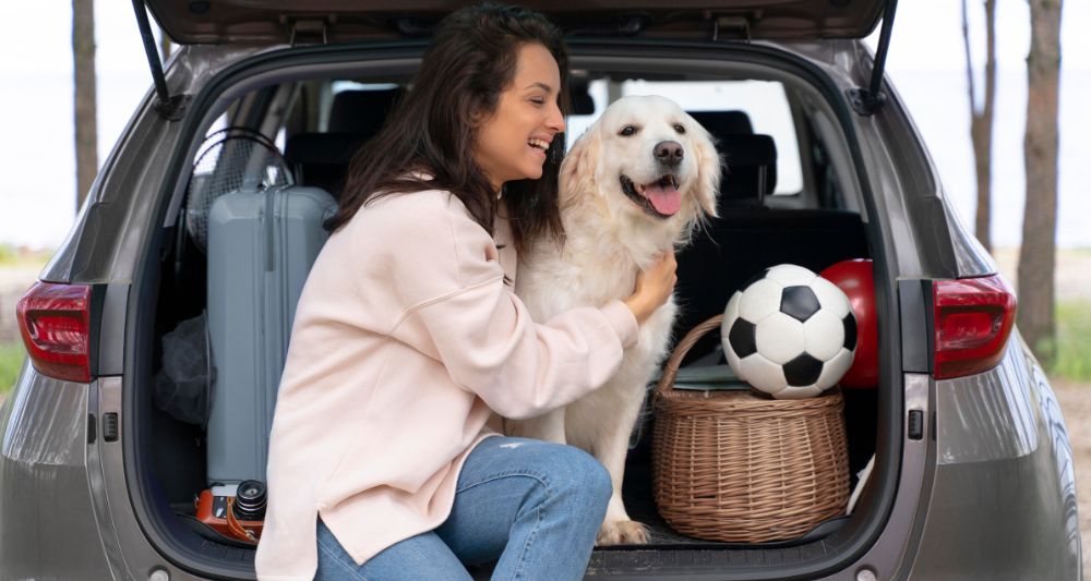 consejos viajar mascota auto